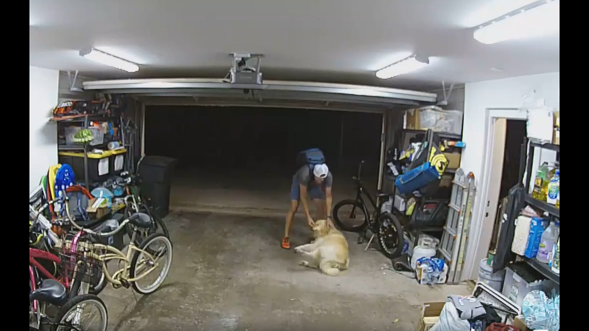 A man stopped mid-burglary to pet a household dog, police said.