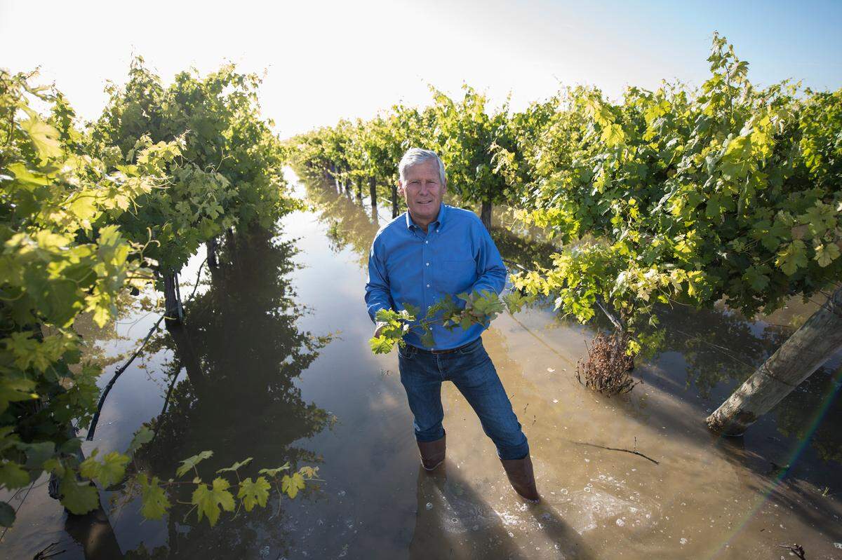 Don Cameron in 2017 with his flooded vineyard for recharge at Terranova Rach.