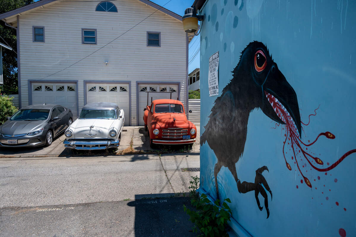 A mural called “Gutter Trap” by John Stuart Berger is visable from Mural Alley on Wednesday, June 15, 2022. According to his artist’s statement, his piece is a reminder to persist and focus on the positive. It’s located on the rear wall of Archival Gallery at 3223 Folsom Boulevard.