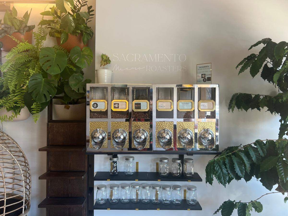 Anchor and Tree Coffee Roasting Co. roaster selection.