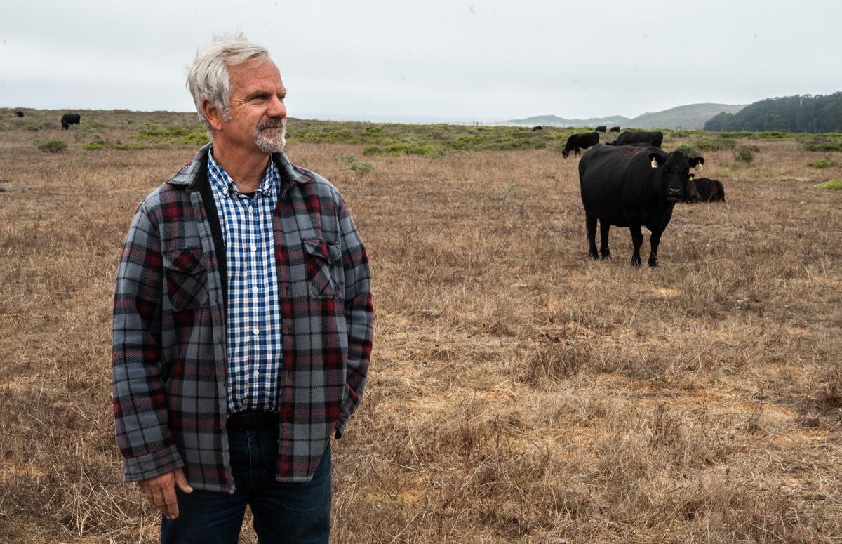 Kevin Lunny stands on his ranch inside Point Reyes National Seashore on Tuesday. Lunny’s family has owned the ranch, which started as a dairy but switched to beef production, since the end of World War II. His grazing cattle and herds of native tule elk compete for water and food on the narrow North Bay pennisula.