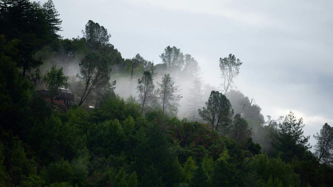 A Los Gatos man is accused of killing his wife on New Year’s Eve and hiding her body in the Santa Cruz Mountains, California police say.