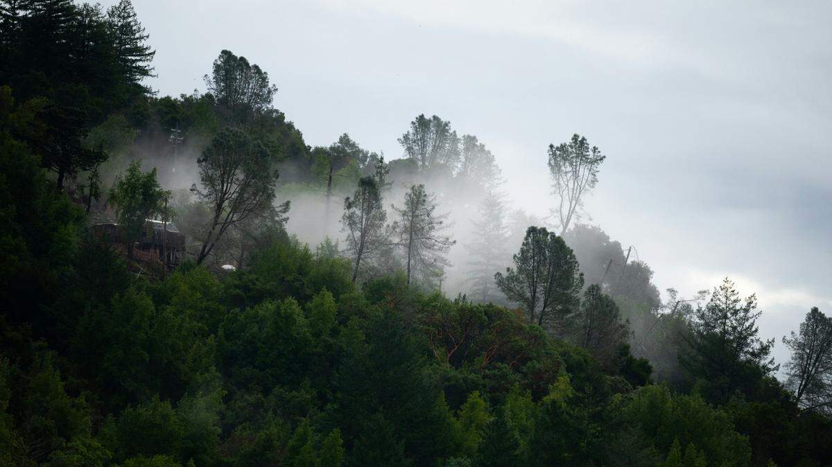 A Los Gatos man is accused of killing his wife on New Year’s Eve and hiding her body in the Santa Cruz Mountains, California police say.
