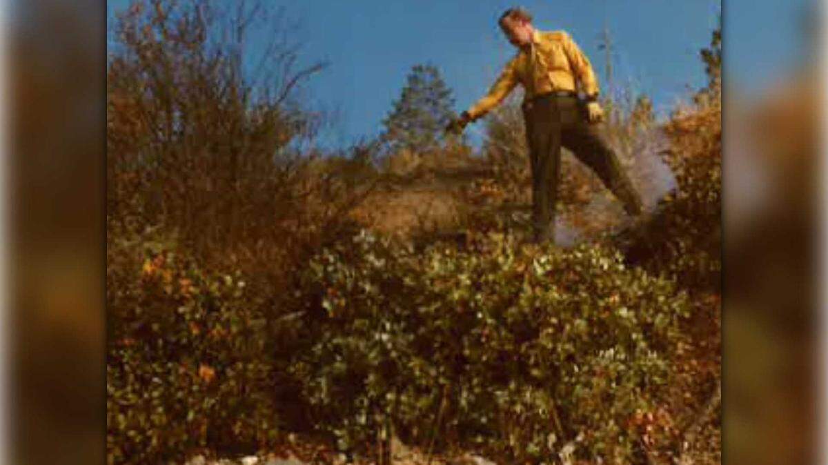 A member of a search party points to the spot where a body was found in 1972 near the Drum Forebay overcrossing by Interstate 80 near Baxter in Placer County. Investigators are asking the public for help identifying the man, who genealogists believe may be Grover Benjamin Hughes, as they work to solve the more than 50-year-old death believed to be a homicide.