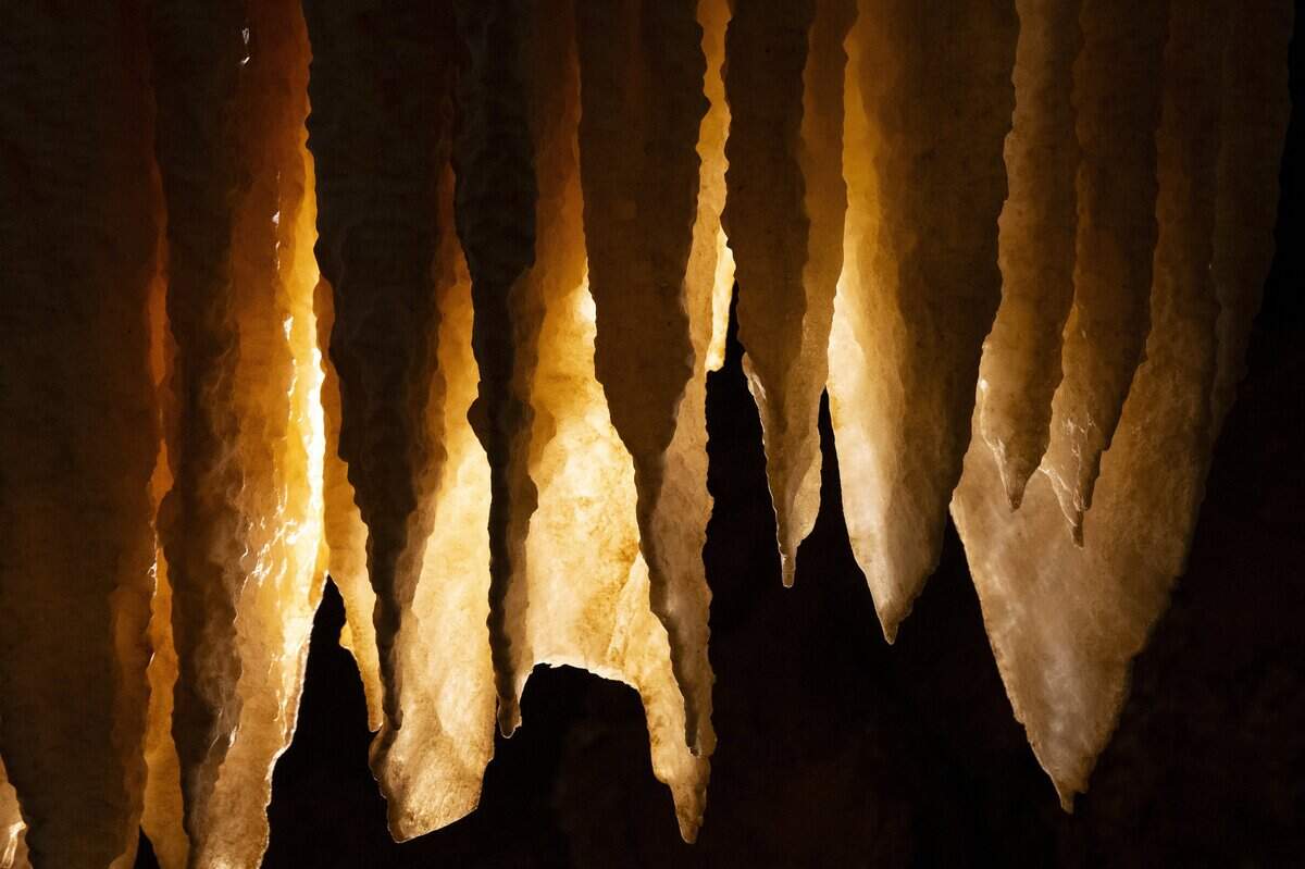 Flowstone, colloquially called “cave bacon” can be seen in Black Chasm Cavern in the town of Volcano as photographed on Thursday, June 18, 2026. Flowstone is a thin sheet-like deposit of calcite that forms when water flows down the walls, floor or other rock formations of a cave.