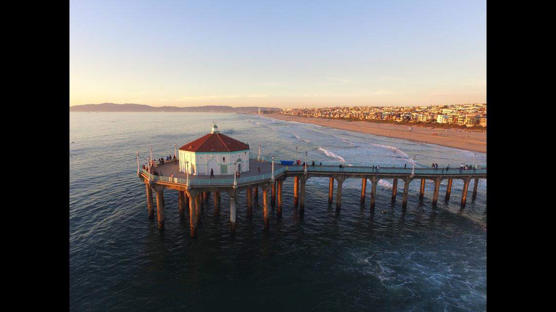 Toxic algae blooms off the coast of Southern California are leading to hundreds of sick and dead sea lions and dolphins to wash ashore, experts say.