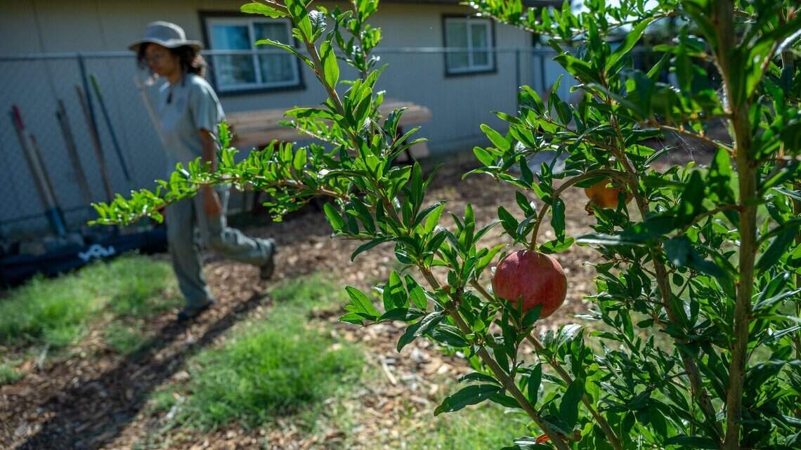 Why a Sacramento nonprofit is buying homes, empty lots in city’s underserved neighborhoods