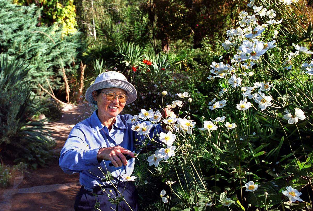 Daisy Mah, the creative gardener behind the perennial garden in William Land Park in Sacramento, tends flowers near Fairy Tale Town in 2000.
