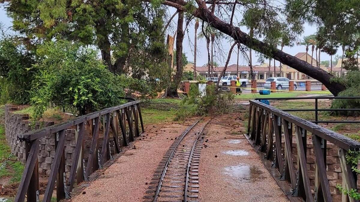A monsoon storm toppled over trees at the McCormick-Stillman Railroad Park in Scottsdale, Arizona, on July 23, 2021.