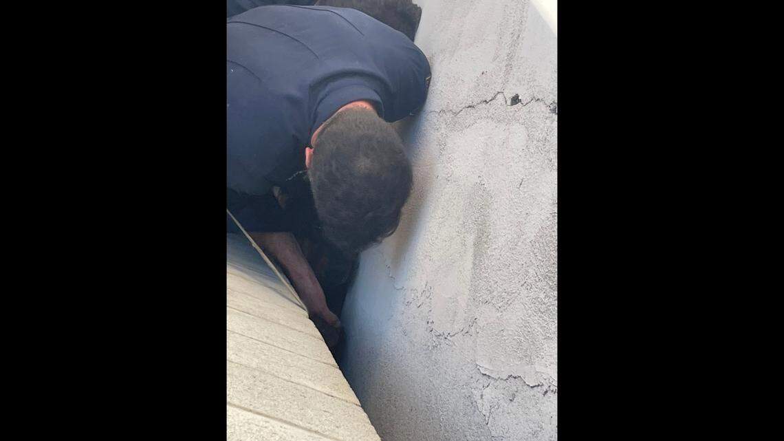 The “beloved” canine got stuck in a crack between two concrete building fleeing the sound of fireworks, officials said.