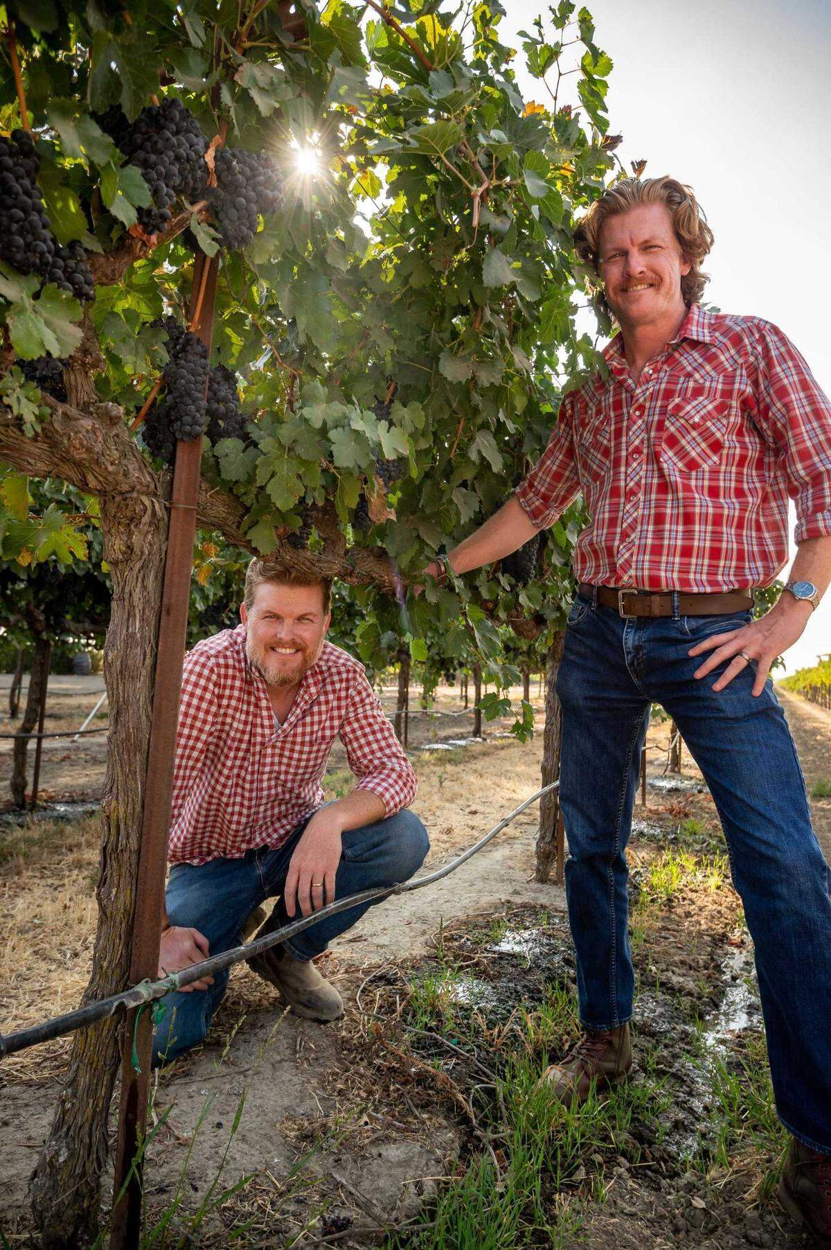 Co-owners David Ogilvie, left, and his twin brother, Phil Ogilvie, stand among rows of red wine grapes at their family’s farming operation, Silt Wine Co., in 2021. The brothers and a partner operate Ogilvie Merwin Vintners, the Clarksburg AVA’s biggest chenin blanc producer.