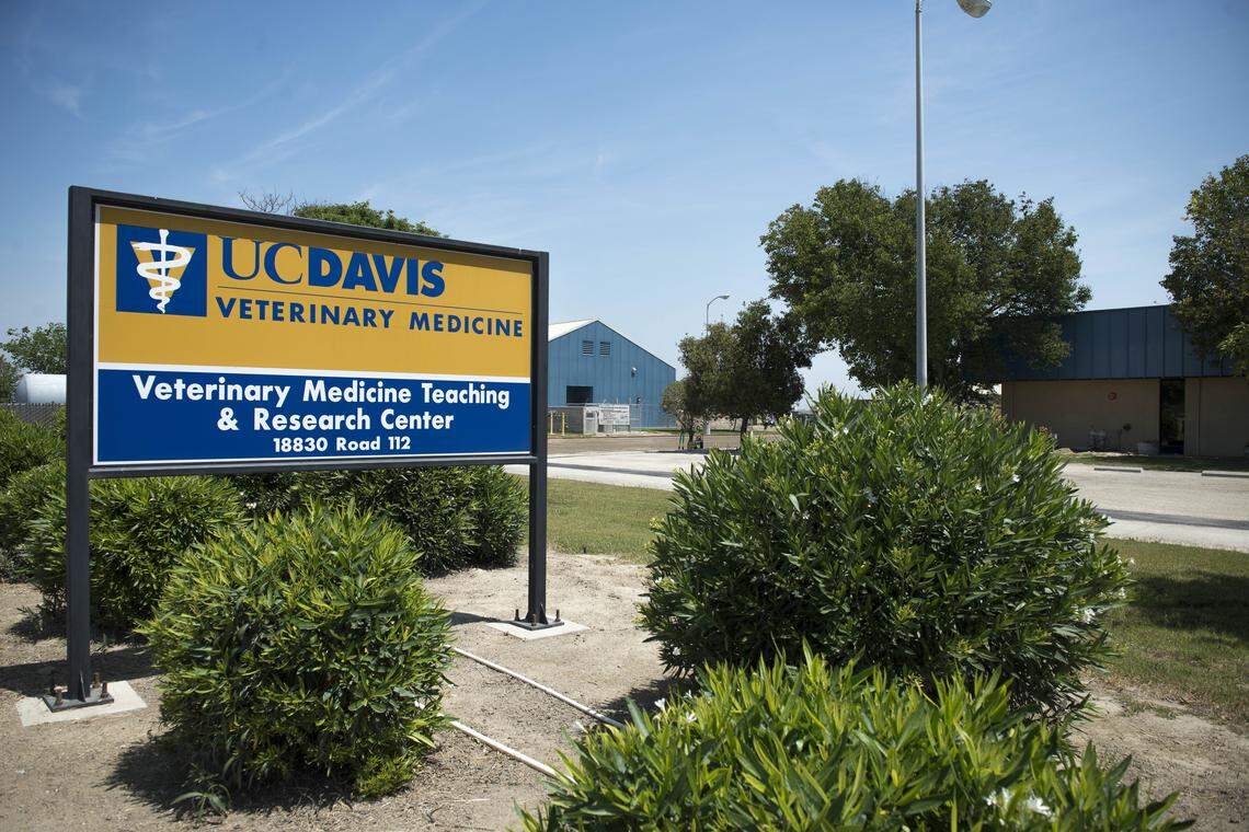 The Veterinary Medicine Teaching & Research Center in Tulare is a leading educational and research organization for dairy production medicine and herd health.
