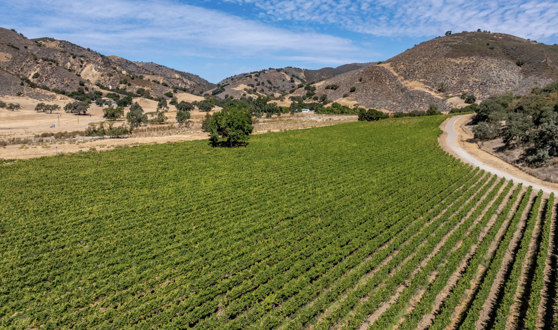 At the heart of Alamo Creek Ranch, 8680 Alamo Creek Road, is a 40-acre vineyard, producing premium grenache, syrah and sauvignon blanc grapes.