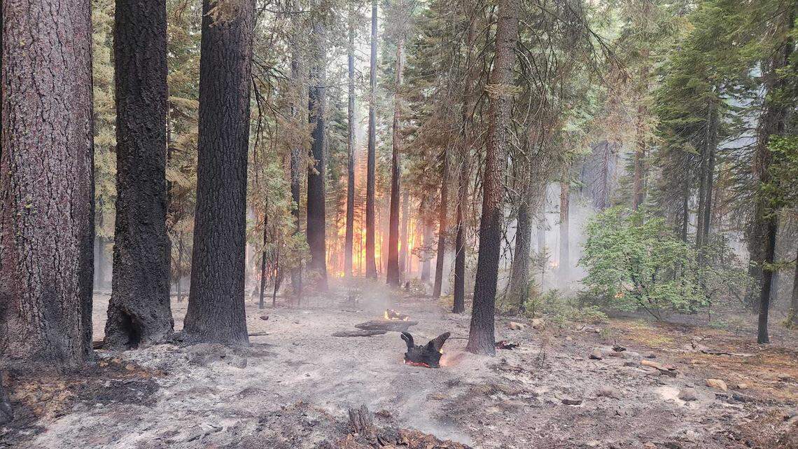 Thick smoke from the Park Fire on Wednesday Aug. 7, 2024, was expected to increase humidity and slightly cool active parts of the Northern California wildfire.
