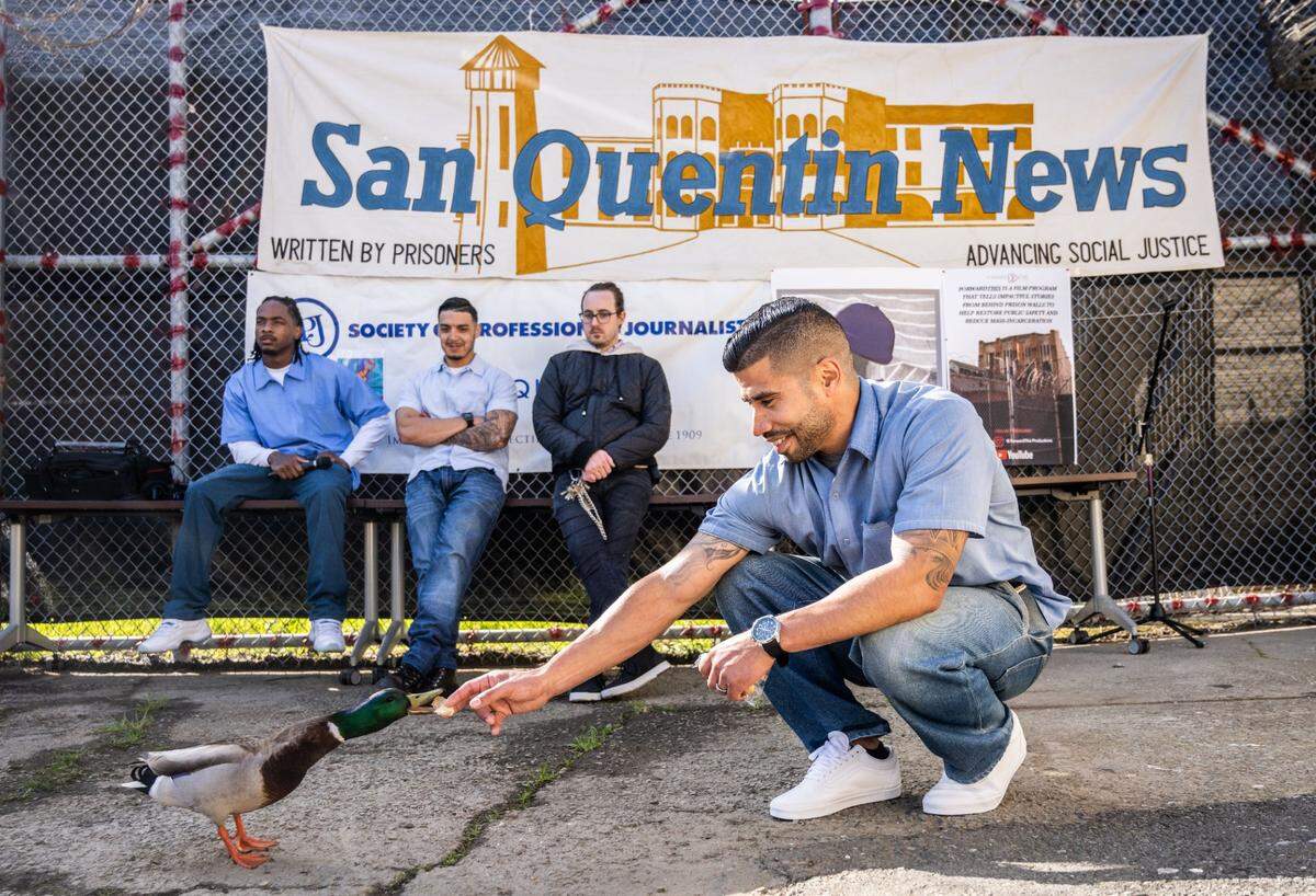 Ryan Pagan, an inmate at San Quentin State Prison, feeds a duck near a banner for their award winning inmate-produced newspaper on Friday.