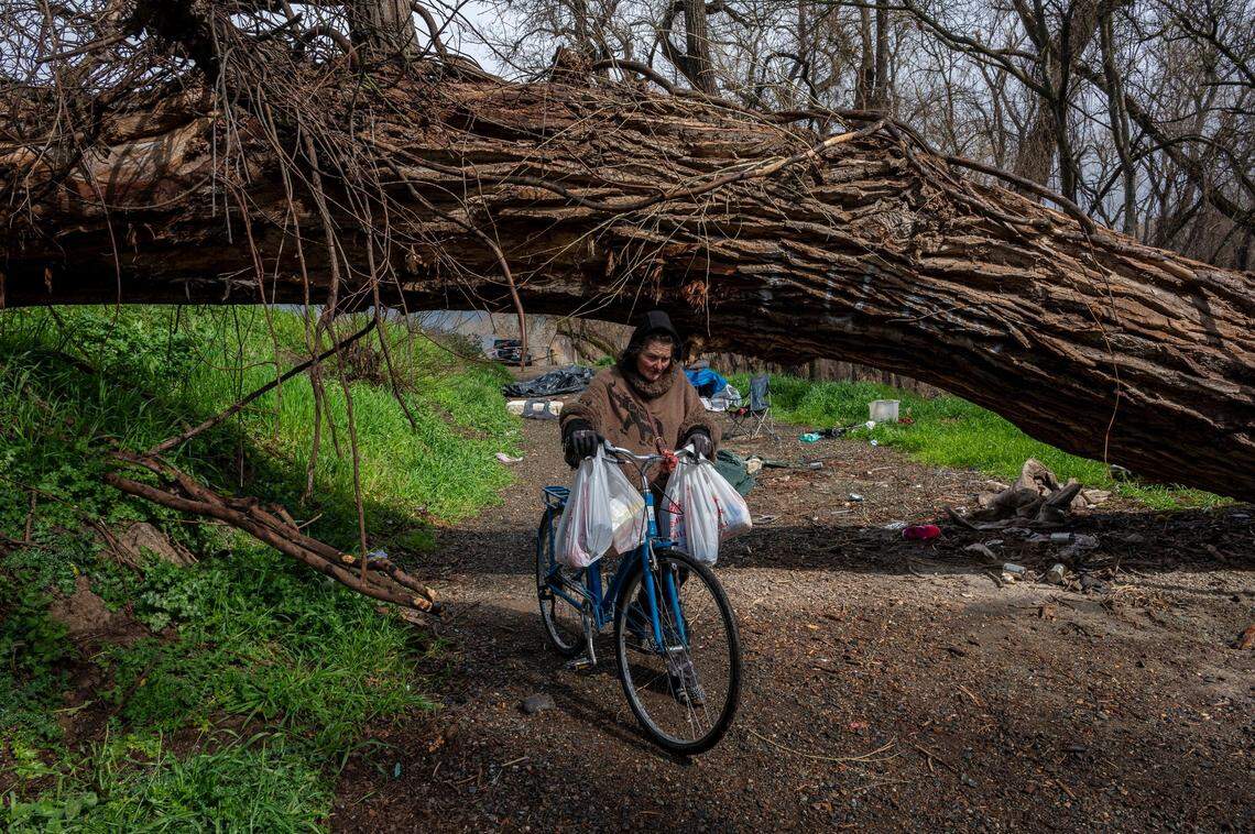 Catherine Roberts pushes her bike underneath a fallen tree on her way to her encampment on Bannon Island on Feb. 23. She was carrying food to cook for the other seniors in the camp community on the Sacramento River. The tree was cleared a week later, which will allow bulldozers and other equipment to pass to clear the encampment.