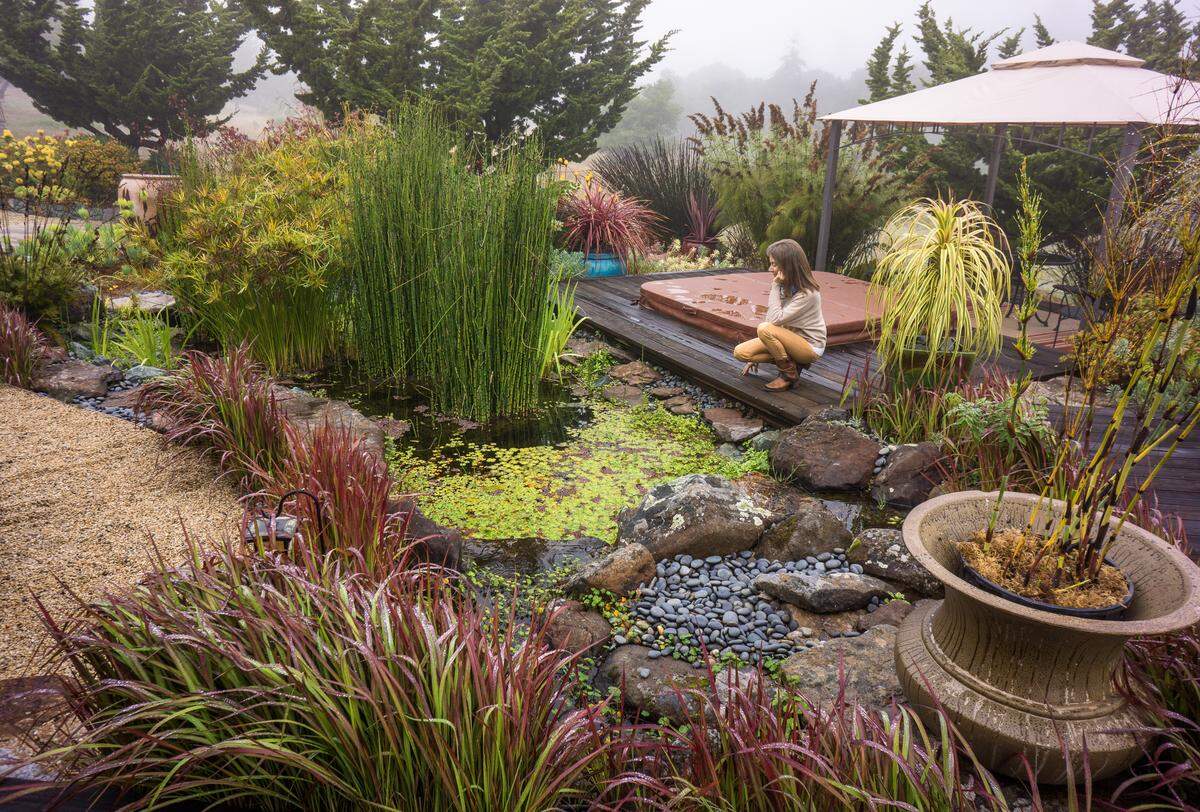 Owners Frans Lanting and Chris Eckstrom have enhanced their property to create a resurgence of wildlife in the Monterey Bay biodiverse hotspot.