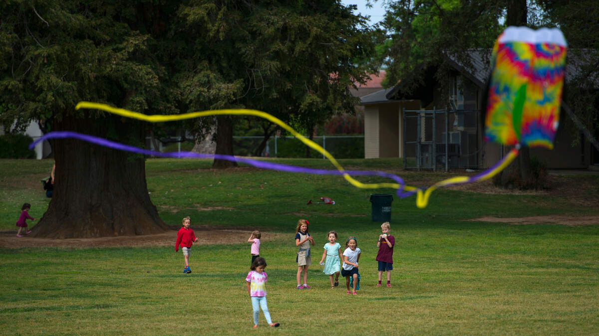 Kids and adults fly kites on a windy day at East Portal Park in East Sacramento in 2015.