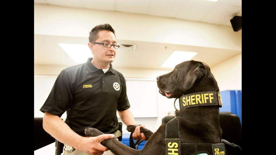 A “porn-sniffing dog” named URL died after years of busting crime in Utah, officials said.