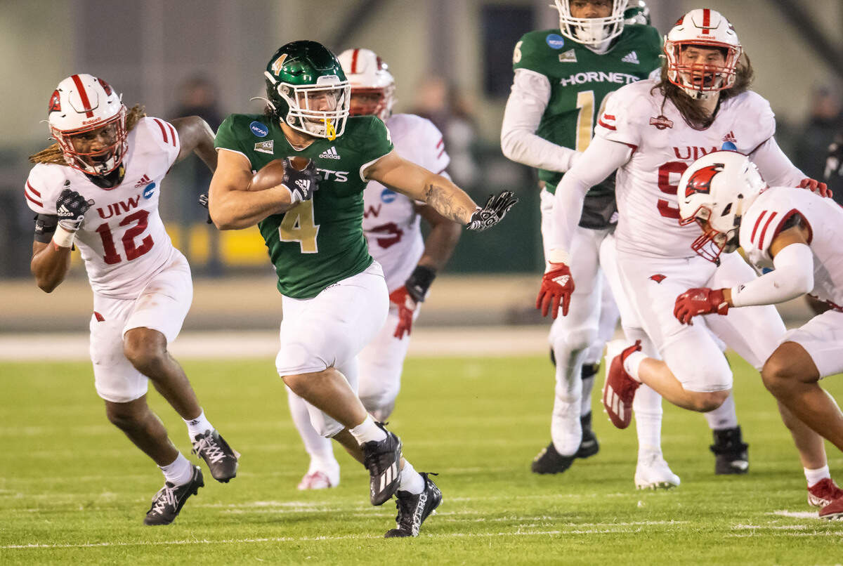 Sacramento State Hornets running back Cameron Skattebo (4) rushes against University of the Incarnate Word (Texas) during the second half of the NCAA college football FCS playoffs quarterfinal game Friday, Dec. 9, 2022, at Hornet Stadium in Sacramento.