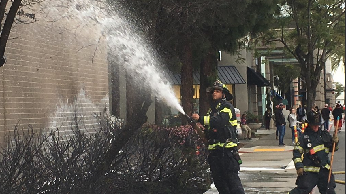 Sacramento firefighters extinguished burning shrubs and a tree outside the Sears store in Arden Fair Mall late Wednesday afternoon, April 11, 2018. The fire is being investigated as possible arson.