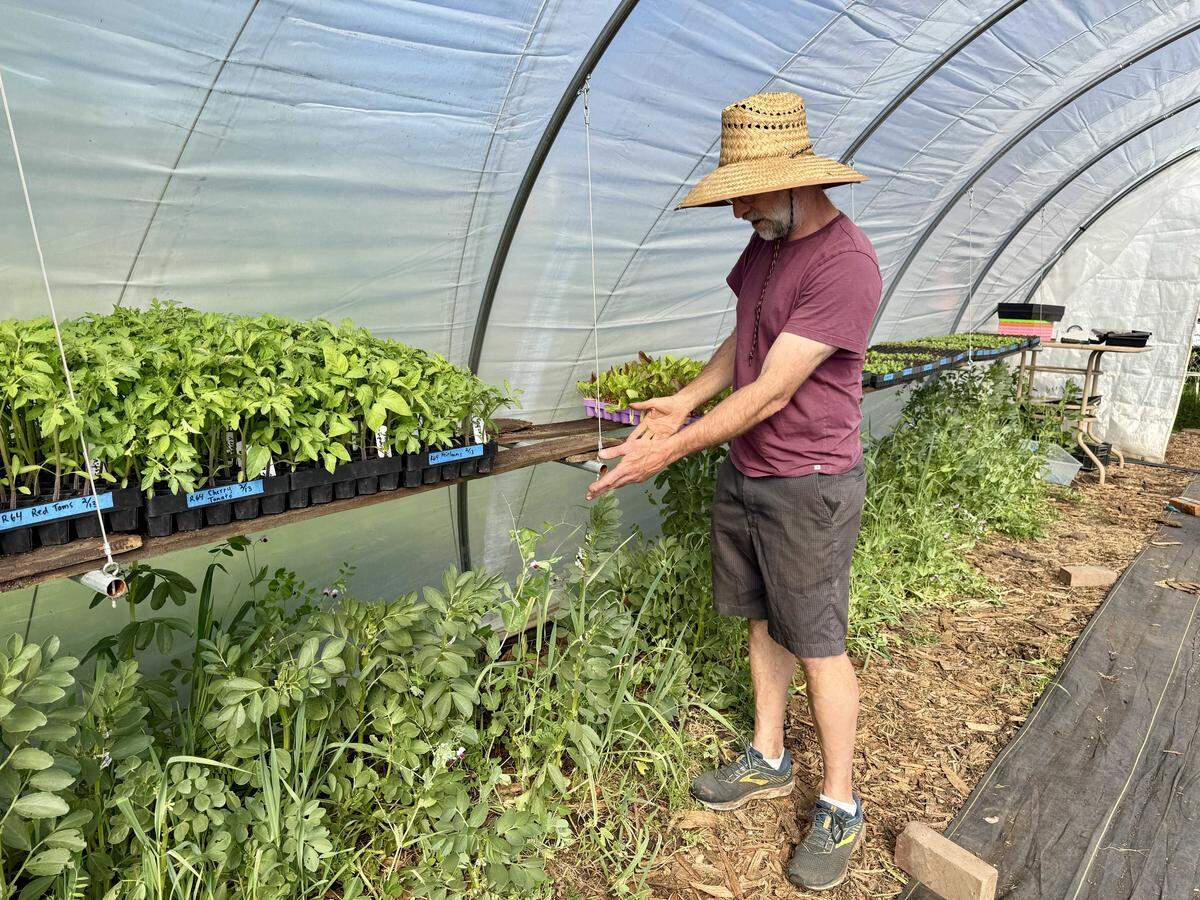 Randy Stannard of Root 64 in Tallac Village shows how temporary tunnels are used on the farm to protect new crops and give more heat. 