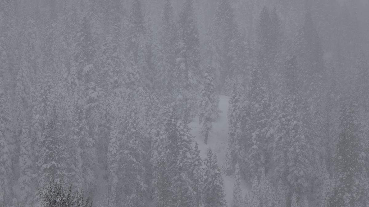 Snow falling in downtown Truckee on Wednesday, Feb. 18, 2026. Truckee is a little less than 10 miles east of Castle Peak.
