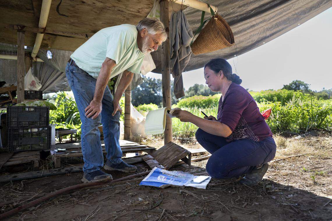 Steven Dambeck speaks with Marysville farmer Nalee Siong earlier this month as she gives him the list of produce she’s selling through the Farms Together program, a federally funded state effort that helps small farms sell their produce to local food banks.