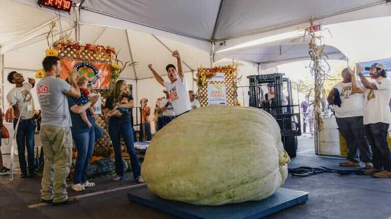 Elk Grove’s Giant Pumpkin Festival is back. Here’s what to know before you visit