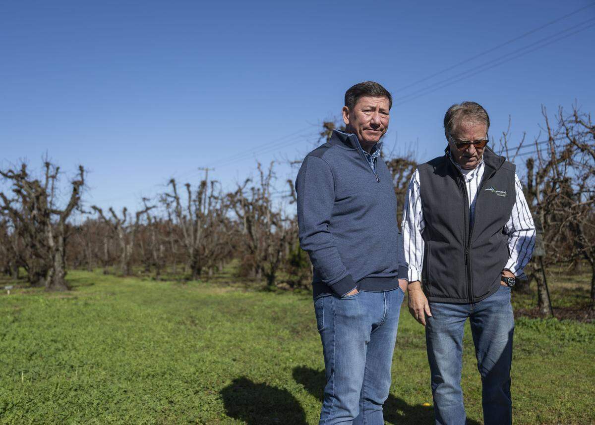 Chris Zanobini, executive director of the California Pear Advisory Board, stands with owner Doug Dickson at River-Pear Orchards in Walnut Grove earlier this month. Argentine pear imports affected Dickson and other Delta farmers.