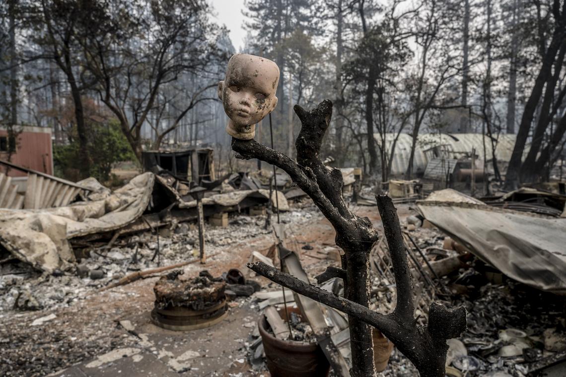 A ceramic doll head is perched on a branch in a yard of a destroyed mobile home inside the Pine Springs Mobile Home Park on Clark Road, Thursday Nov. 15, 2018 in Paradise.
