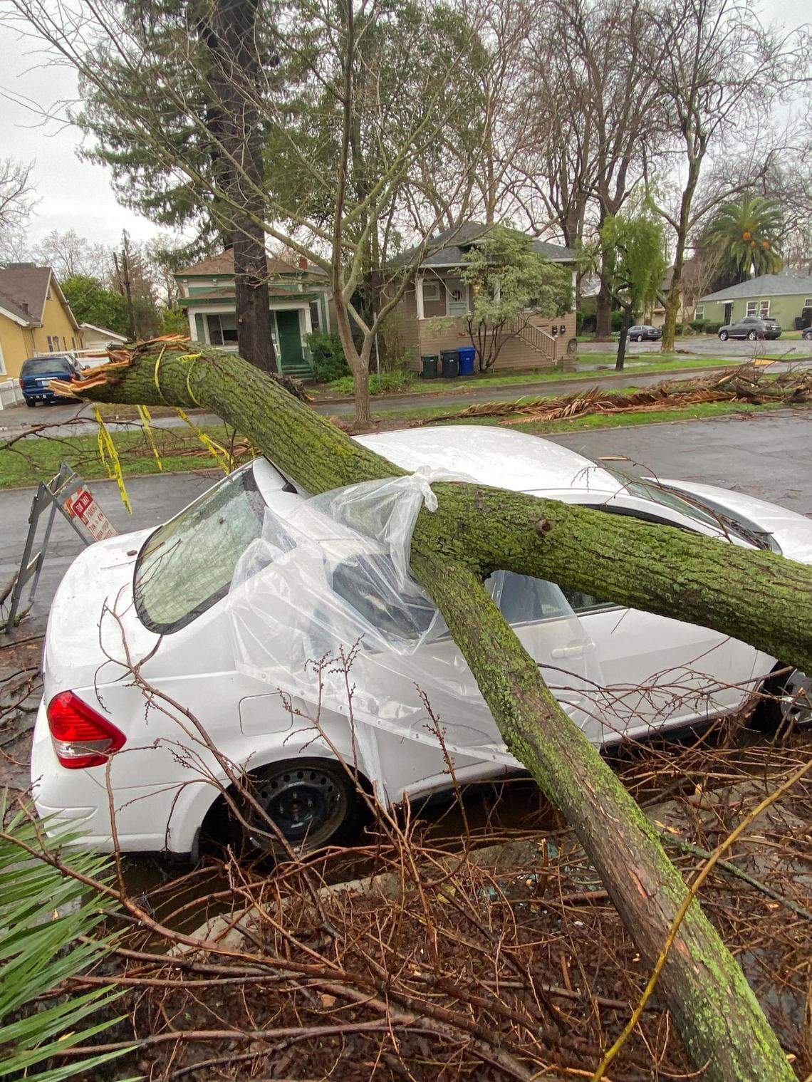 Victoria Atencio’s car was crushed by a fallen tree in New Era Park near 21st and E streets in Sacramento in 2023.