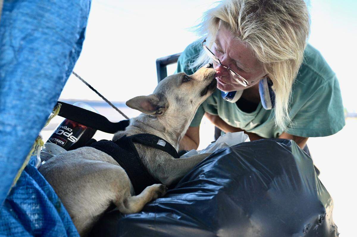 Tanja Steiner, who has lived homeless in Folsom for four years, gives her dog Tarzan a kiss as she moves her belongings in a cart Friday on their way to a recycling center on Sunrise Boulevard.