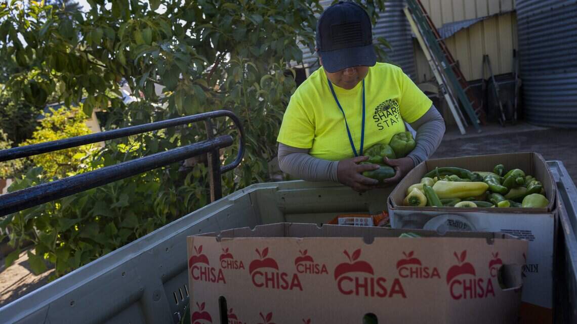 Did you know the California State Fair has a farm? Here’s where the harvest goes