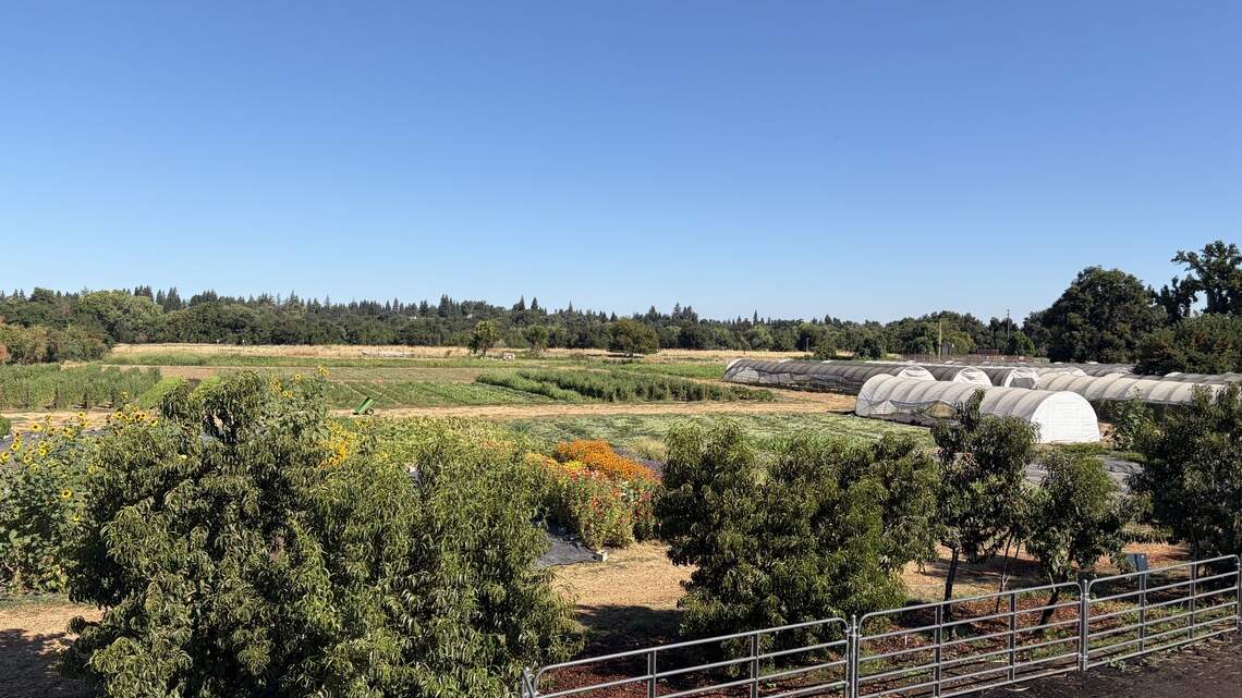 Rancho Cordova’s Soil Born Farms teaches sustainability, equity on urban farm
