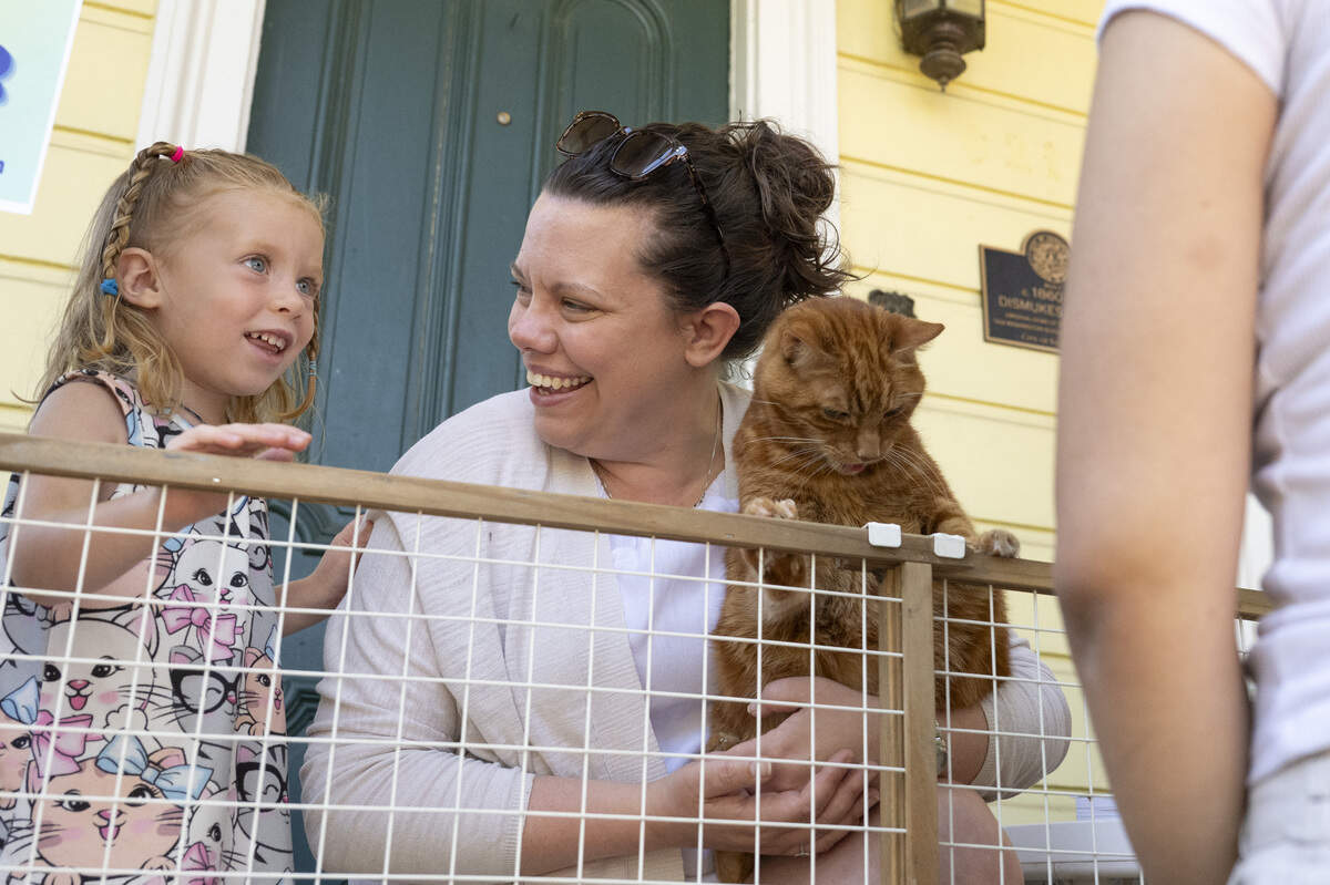 Christina Nord, Loretta Nord-Morris and their cat George greet visitors during the NorCal Resist Cat Tour in Sacramento on Sunday, June 7, 2026.