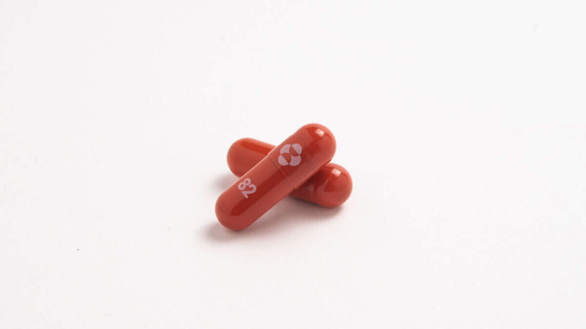 An experimental COVID-19 pill molnupiravir has reduced hospitalization and death by 50%, according to interim clinical trial results announced on Oct. 1, 2021.