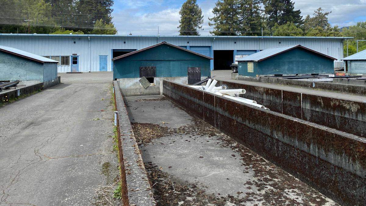 Concrete raceways sit dry and rust-streaked at the Mad River Fish Hatchery in Humboldt County on Friday, May 2, 2025. The state plans to shut down the aging facility in June, citing escalating repair costs and federal steelhead production limits.