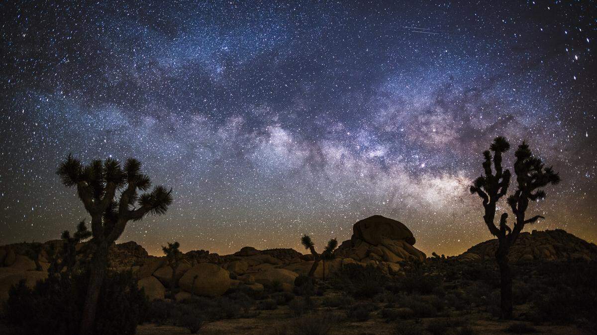 Desert landscape at night with Milky Way. Joshua tree national park in California, USA.