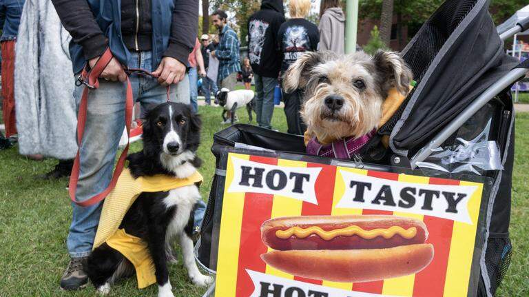 Photos: Dog lovers gather for Midtown Halloween and Pooch Parade