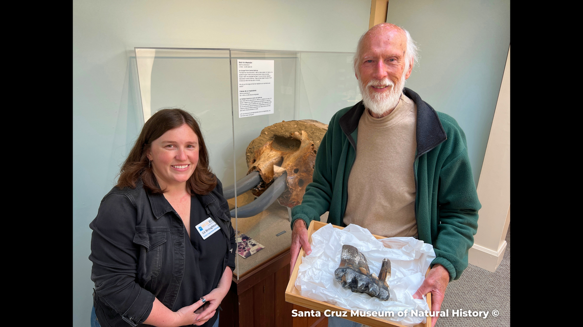 Liz Broughton and Jim Smith pictured at the Santa Cruz Museum of Natural History beside the museum’s mastodon display.
