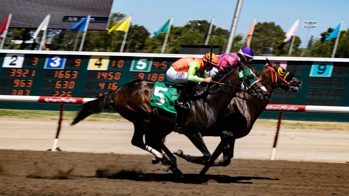 Thoroughbreds race at the California State Fair in 2019.