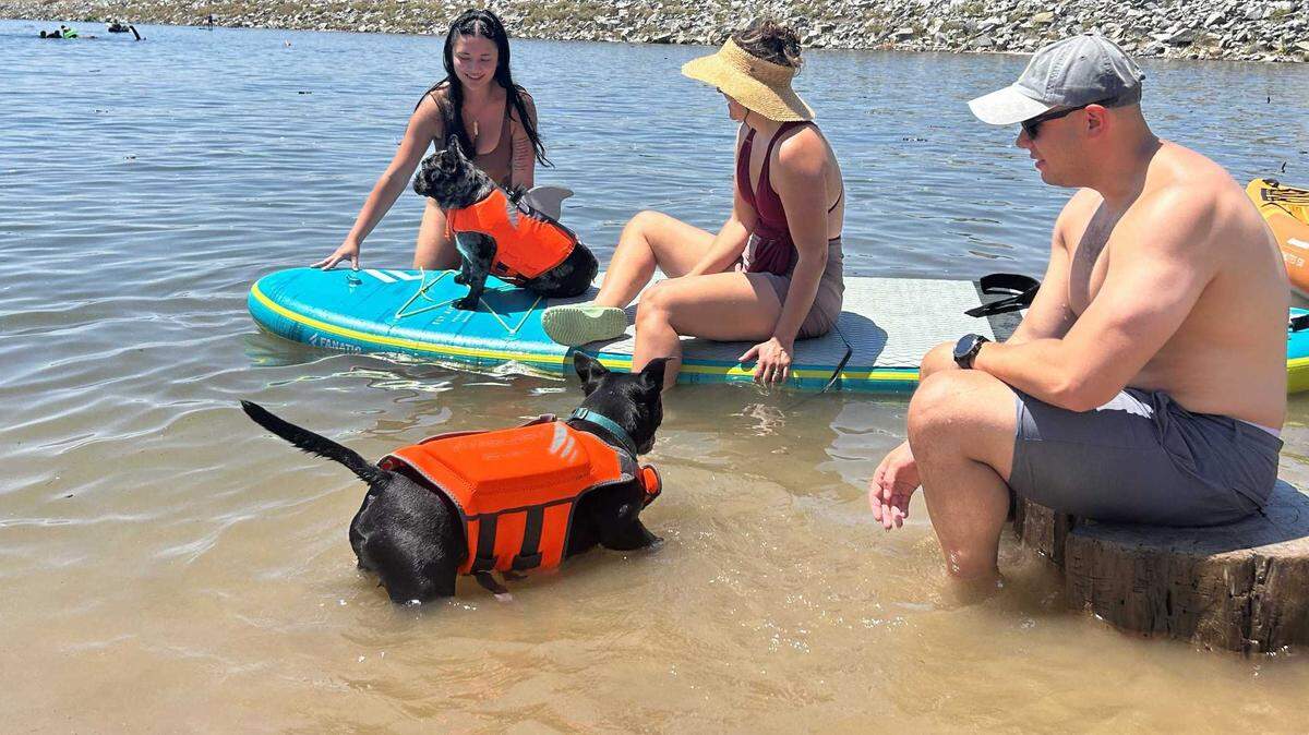 Zach Christensen, accompanied by his wife, Olivia, and colleague Rachel Conshue (left), take their pets out to enjoy the cool waters of Folsom Lake July 1 during an extreme heat wave.