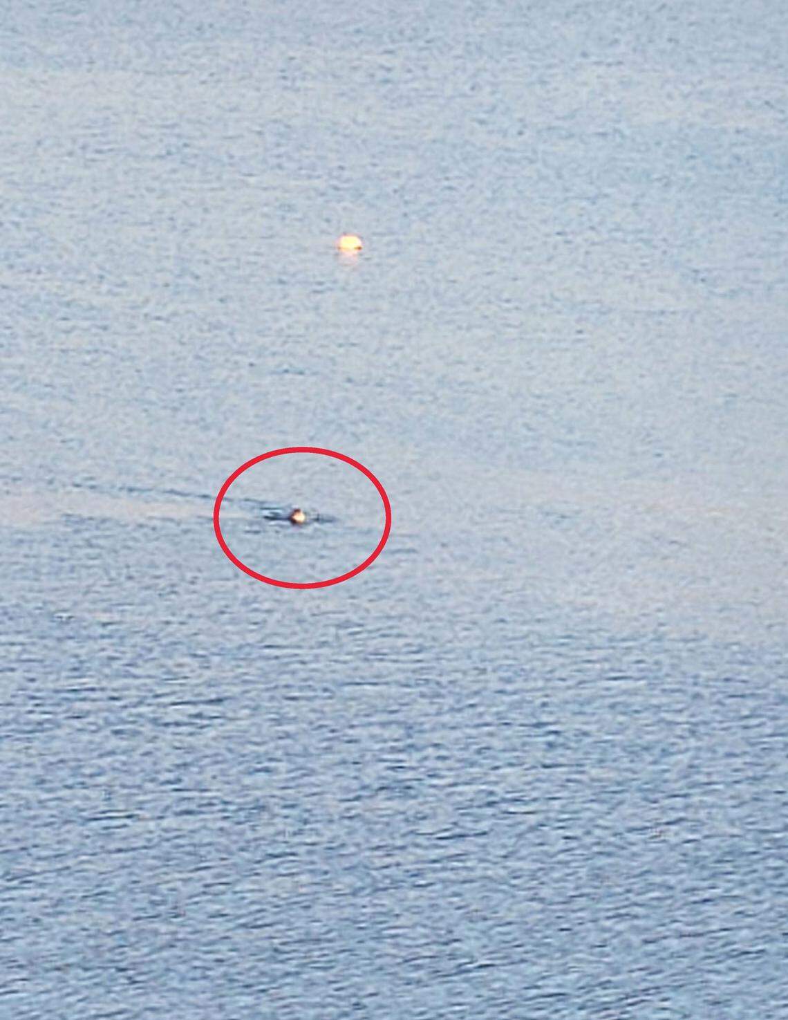 Federal officials say this is a photograph of Matthew Piercey in Lake Shasta as he tried to elude FBI agents who sought to arrest him in an alleged Ponzi scheme.