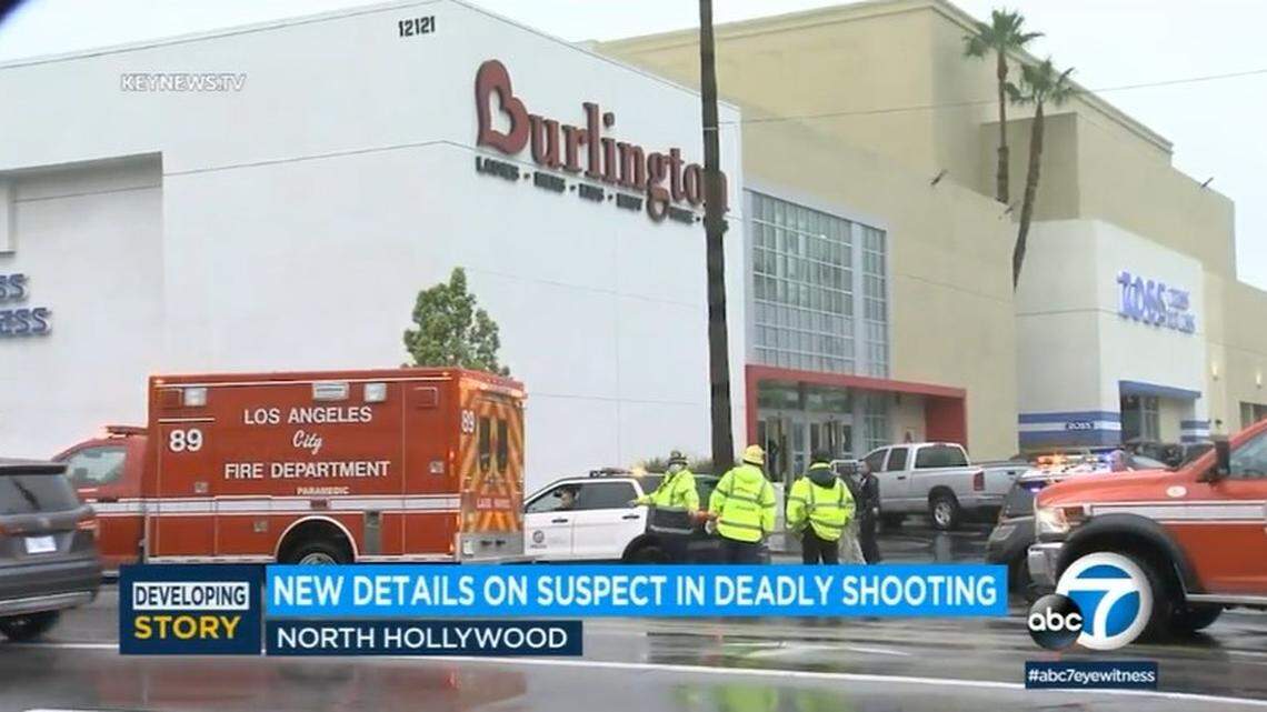 A stray bullet fired by police killed a 14-year-old girl shopping for a quinceanera dress with her mom in North Hollywood, California, officers said.
