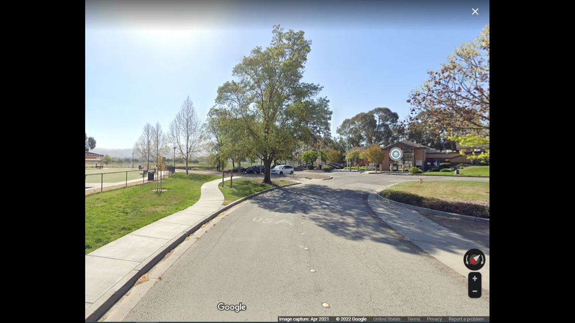 One dog died after a dog on the loose bit four dogs and one person, according to police.