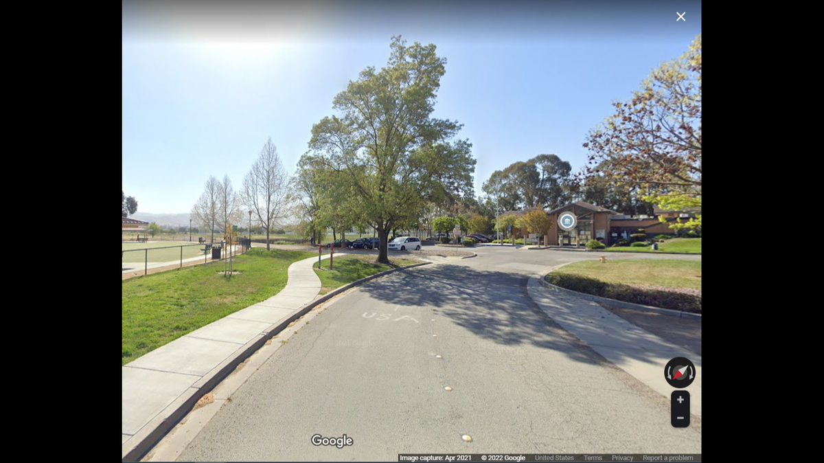 One dog died after a dog on the loose bit four dogs and one person, according to police.