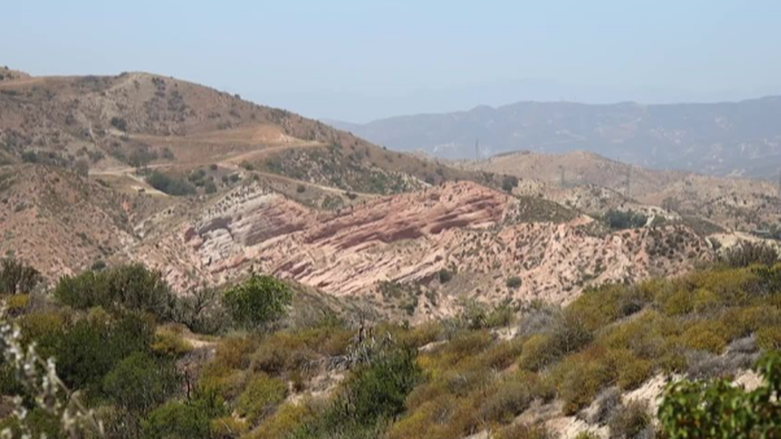 The newly discovered species was first found at Whiting Ranch Wilderness Park in Orange County.