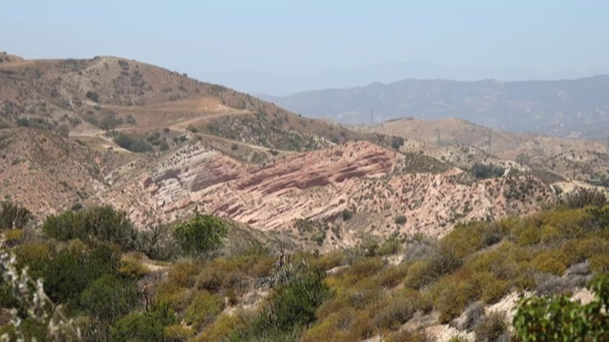 The newly discovered species was first found at Whiting Ranch Wilderness Park in Orange County.