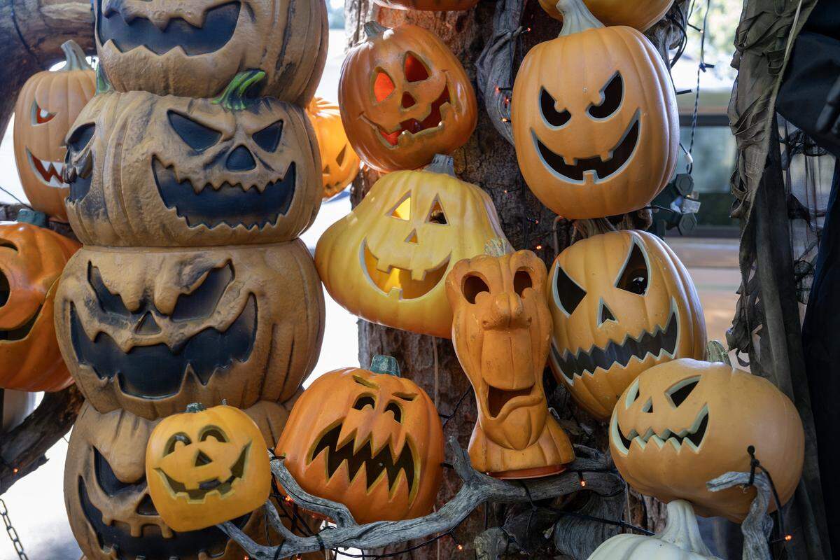 Scary Halloween jack-o'-lanterns decorate the Sacramento home of Danell Eshnaur and Aimee Phelps. The pair have been creating a haunted attractions in their Oak Park neighborhood for at least 17 years.